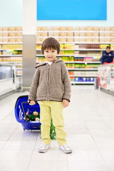 Cute little and proud boy helping with grocery shopping, healthy — Stock Photo, Image