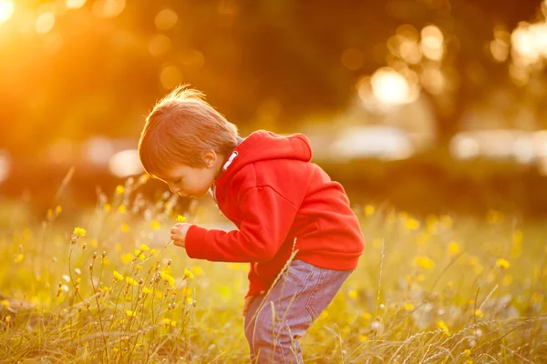 Adorabile ragazzo con il suo amico orsacchiotto, seduto su un prato — Foto Stock