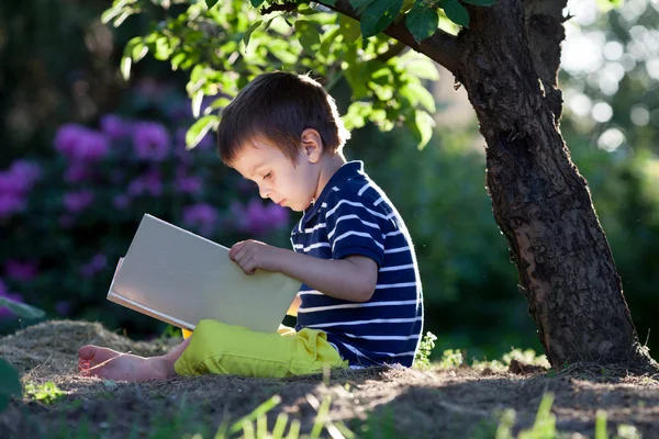Vacker liten pojke, läsa en bok i trädgården, sitter bredvid en t — Stockfoto