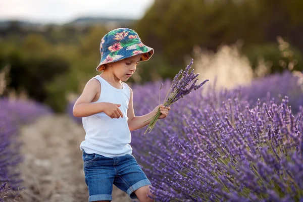라벤더 밭에서 모자와 귀여운 귀여운 소년 — 스톡 사진