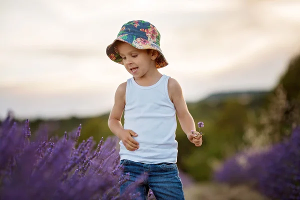 Bedårande söt pojke med en hatt i ett lavendel fält — Stockfoto