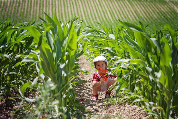 Cute boy with white hat and overalls, holding poppies, walking i