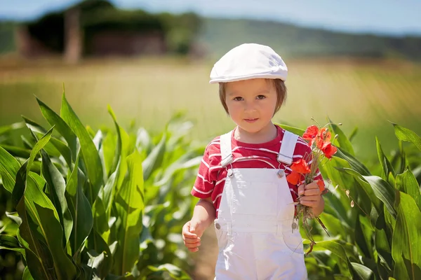 Cute boy with white hat and overalls, holding poppies, walking i — Stock Photo, Image