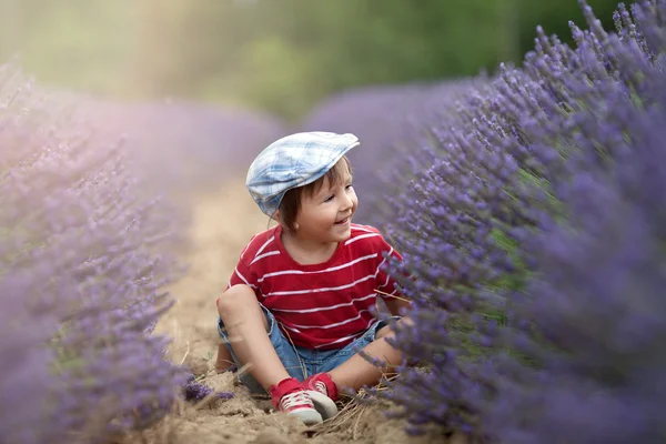 Lilla fashionabla pojke ha kul i lavendel fält — Stockfoto