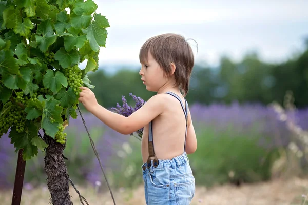 Joli garçon riant, courant dans une belle cour de vigne d'été — Photo