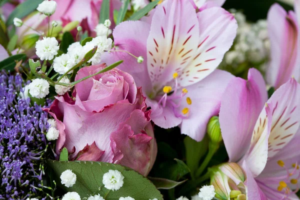 흰색 바탕에 분홍색 백합 꽃다발 — 스톡 사진