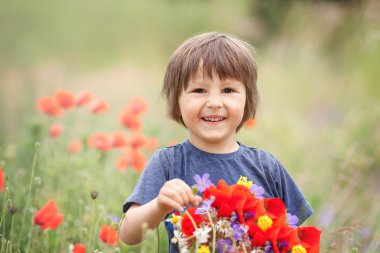 Haşhaş çiçekleri ve diğer kır çiçekleri poppy içinde şirin çocuk çocuk 