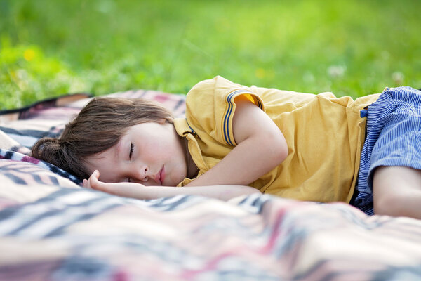 Симпатичный маленький мальчик, спит на одеяле для пикника, на открытом воздухе в сумме
