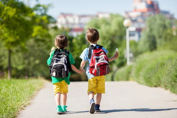 Due adorabili ragazzi in vestiti colorati e zaini, a piedi awa — Foto Stock