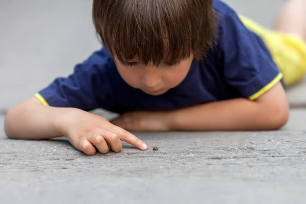 Uğur böceği ile oynarken, şirin küçük yürümeye başlayan çocuk — Stok fotoğraf