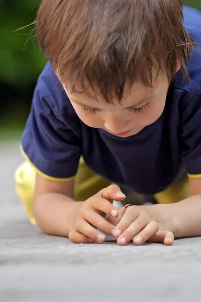 Carino piccolo bambino ragazzo, giocando con coccinella — Foto Stock