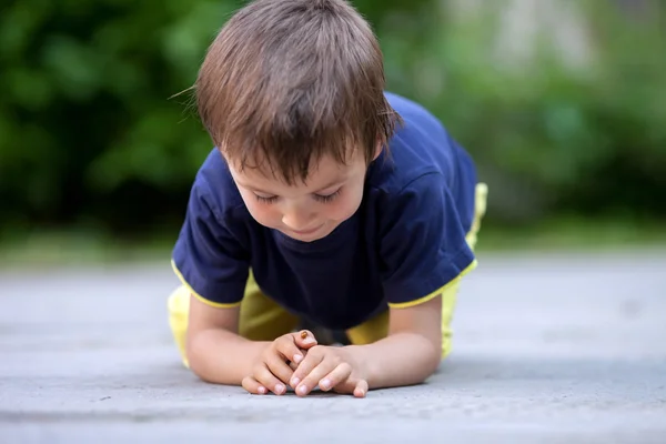 Carino piccolo bambino ragazzo, giocando con coccinella — Foto Stock