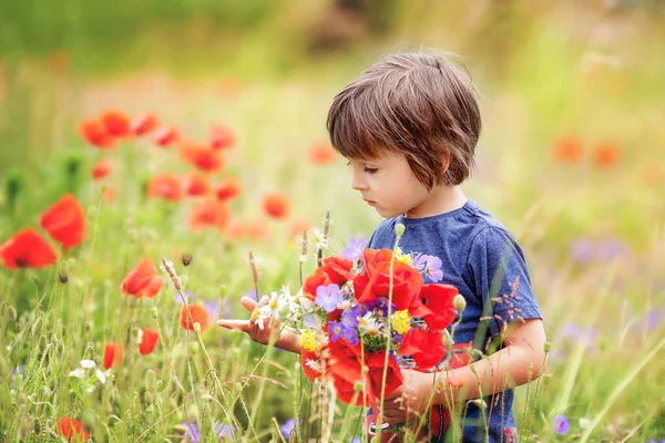 Söt liten pojke med vallmo blommor och andra vilda blommor i vallmo — Stockfoto