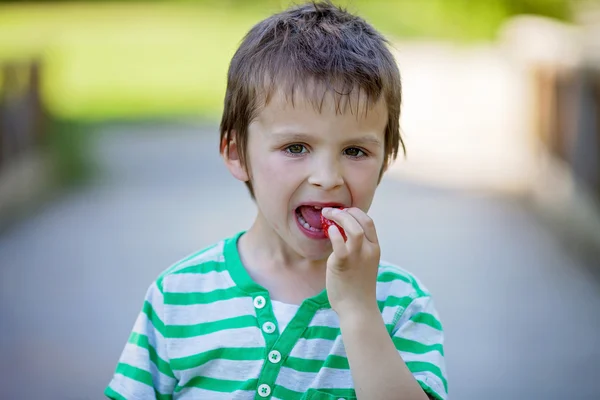 Cute little caucasian boy, eating strawberries in the park — Stock Photo, Image