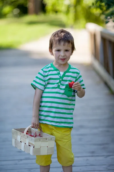 Cute little caucasian boy, eating strawberries in the park — Stock Photo, Image