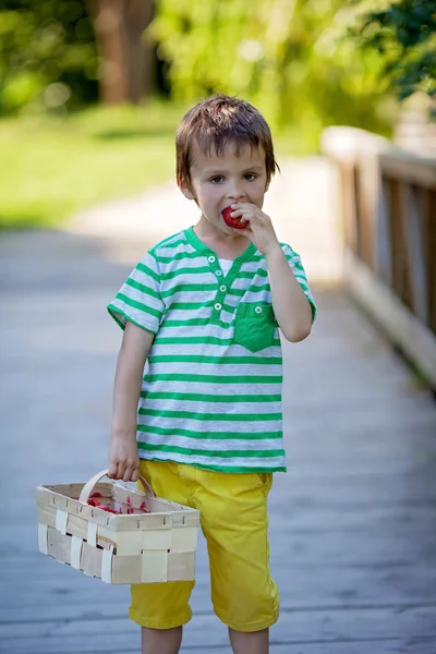 Bonito menino caucasiano, comendo morangos no parque — Fotografia de Stock
