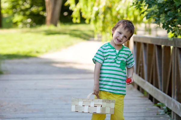 Schattige kleine Kaukasische jongen, aardbeien eten in het park — Stockfoto