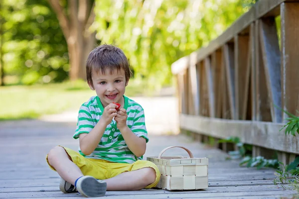 Cute little caucasian boy, eating strawberries in the park — Stock Photo, Image