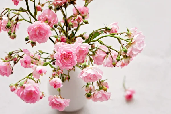 Pequenas rosas rosa em um vaso, fundo de textura — Fotografia de Stock