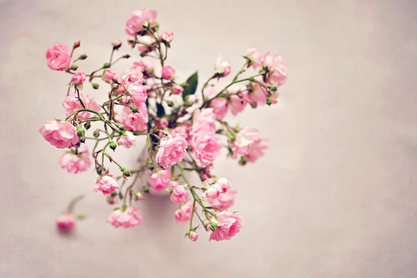 Kleine roze rozen in een vaas, textuur achtergrond — Stockfoto