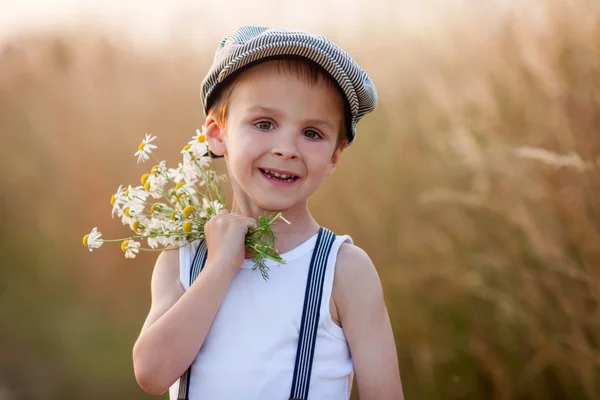 Hermoso niño en el campo de margaritas al atardecer — Foto de Stock