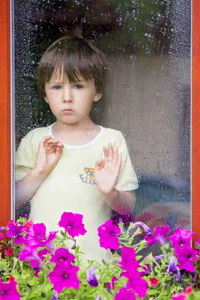 Petit garçon derrière la fenêtre sous la pluie — Photo