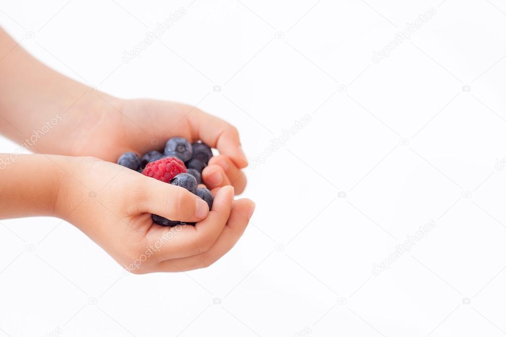 Child, holding raspberries and blueberries, isolated on white
