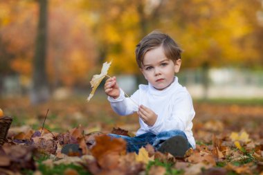 Cute little boy with basket of fruits in the park
