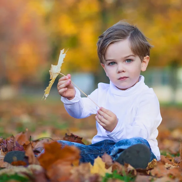 Ragazzino carino con cesto di frutta nel parco — Foto Stock