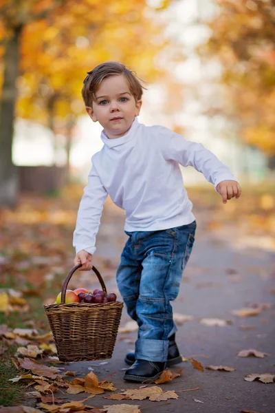 Cute little boy with basket of fruits in the park — Stok fotoğraf