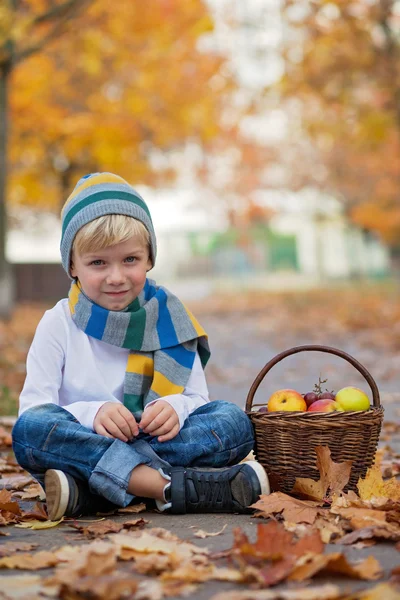 Ragazzino carino con cesto di frutta nel parco — Foto Stock