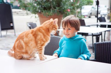 Açık havada çok güzel kedi ile oynarken mutlu küçük çocuk, çocuk,