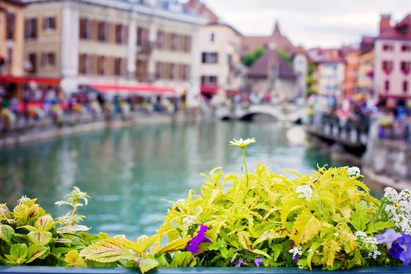 Mooie bloempotten langs de grachten in Annecy, Frankrijk, bekend — Stockfoto
