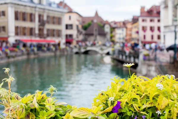 Flower pot over the canals in Annecy, France — Zdjęcie stockowe