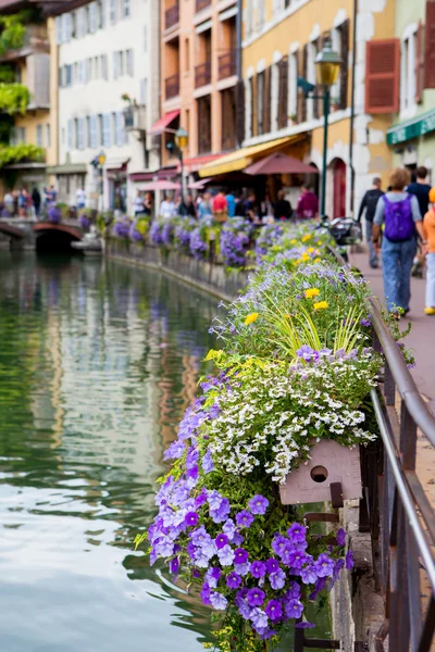Schöne Blumentöpfe entlang der Kanäle in Annecy, Frankreich, bekannt — Stockfoto
