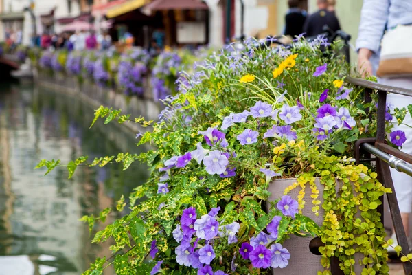 Hermosas macetas a lo largo de los canales en Annecy, Francia, conocido — Foto de Stock