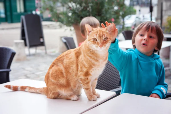 Портрет кота, смотрящего в камеру, мальчика, ласкающего кошку — стоковое фото