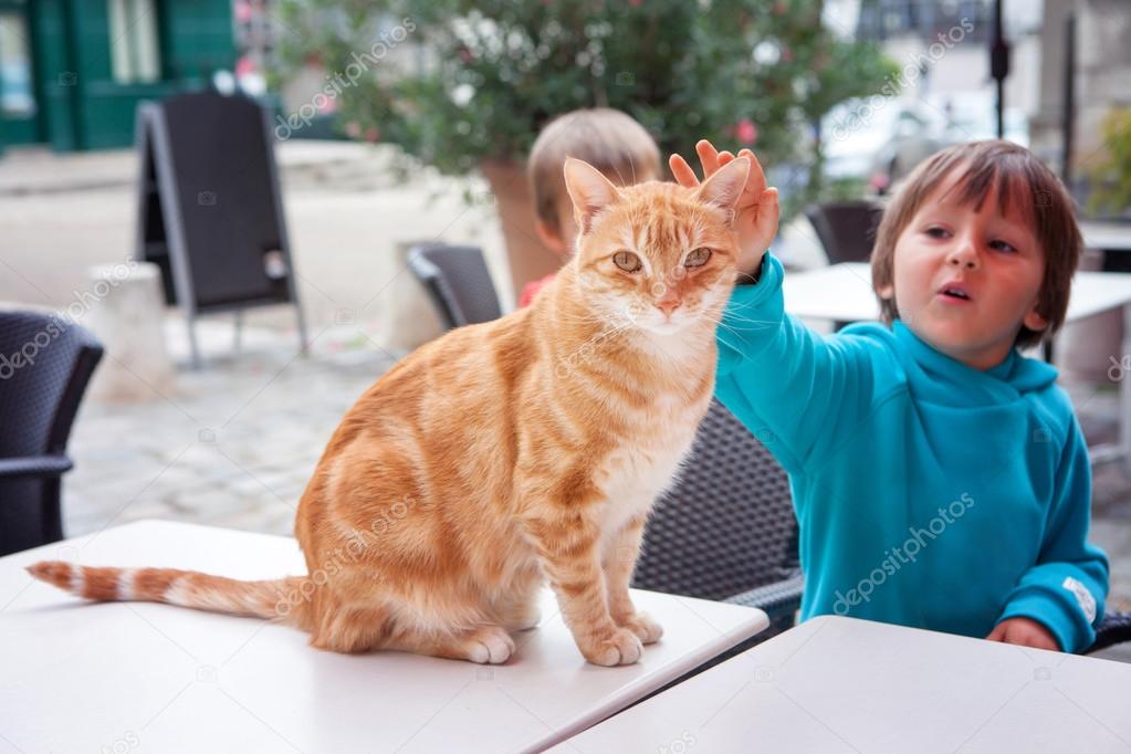 Portrait of cat, looking at camera, little boy caresing the cat