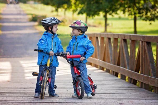 Dois meninos bonitos, irmãos crianças, se divertindo em bicicletas no par — Fotografia de Stock