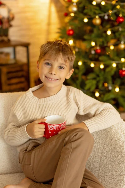 Sevimli anaokulu çocuğu, şöminenin önünde oturuyor, Noel hediyesini tutuyor ve evde kitap, eğlence ve mutluluk okuyor.