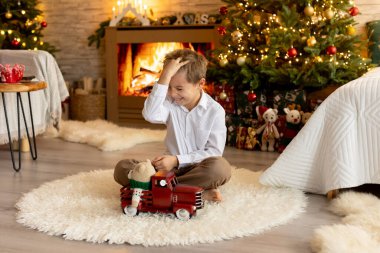 Noel 'de mutlu bir aile, birlikte güzel vakit geçiriyoruz, çocuklar ve yetişkinler Noel arifesinde süslü evde evcil köpekleriyle.