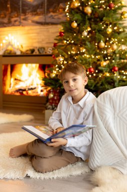 Noel 'de mutlu bir aile, birlikte güzel vakit geçiriyoruz, çocuklar ve yetişkinler Noel arifesinde süslü evde evcil köpekleriyle.