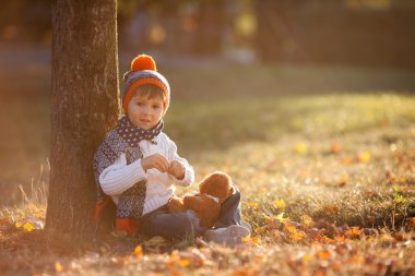 Bir sonbahar günü parkta oyuncak ayı ile sevimli küçük çocuk