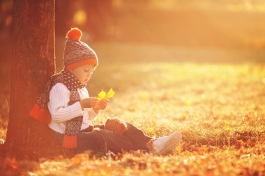 Bir sonbahar günü parkta oyuncak ayı ile sevimli küçük çocuk