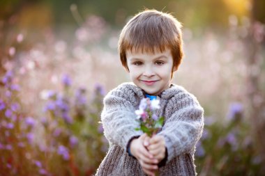 Sweet little boy, holding flowers on sunset clipart