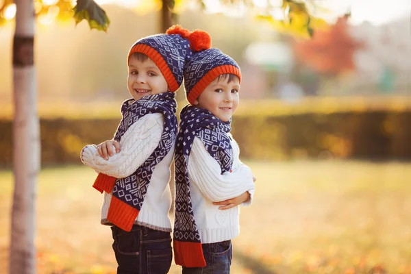 Adorable little brothers with teddy bear in park on autumn day — Stock Photo, Image