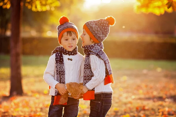 Adorable little brothers with teddy bear in park on autumn day — Stock Photo, Image