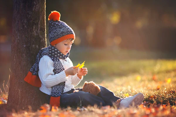 Adorable little boy with teddy bear in park on autumn day — Stock Photo, Image