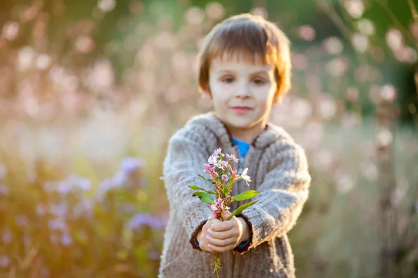 Édes kis fiú, gazdaság virágok naplemente — Stock Fotó