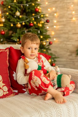 Noel 'de mutlu bir aile, birlikte güzel vakit geçiriyoruz, çocuklar ve yetişkinler Noel arifesinde süslü evde evcil köpekleriyle.